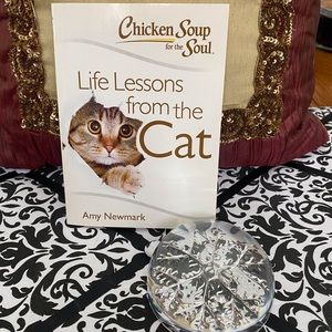 Cat book and snowflake paper weight